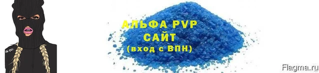 хмурый Магас
